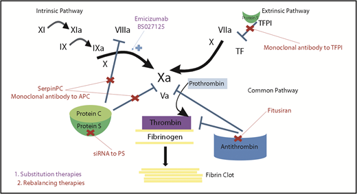 Figure 3. Mechanisms of action of novel nonfactor therapeutics for hemophilia. Hemostatic nonfactor agents in varying phases of development include substitution therapies (emicizumab, BS027125) for FVIII that can restore factor Xa generation and rebalancing therapies, which knock down or disrupt the natural anticoagulants (small interfering RNA to AT and PS, monoclonal antibodies to protein C and TFPI, and an APC-specific serpin), to augment hemostasis.