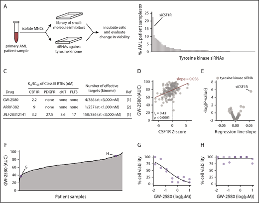 Figure 1. Ex vivo AML patient sample screen reveals that knockdown/inhibition of CSF1R reduces leukemia cell survival in >20% of samples. (A) Schematic of screening primary AML patient samples against small-molecule inhibitors and siRNAs against the tyrosine kinome to identify new therapeutic targets. (B) siRNA tyrosine kinome screen (n = 93 kinase siRNAs) identifies CSF1R as the top “hit” in primary AML patient samples (n = 158 or 162) to significantly reduce cell viability. (C) High degree of specificity among the CSF1R-targeted small-molecule inhibitors GW-2580, ARRY-382, and JNJ-28312141, compared with other class III receptor tyrosine kinases. Data from (1) Davis et al35 and (2) Wright et al.36 (D) Strong correlation observed between GW-2580 AUC and z score of the viability from siCSF1R compared with that of other tyrosine kinase siRNAs (n = 162 patient samples). Significance determined by Spearman rank correlation. (E) siCSF1R has the strongest correlation and most significant association with GW-2580 AUC in the siRNA tyrosine kinome screen. Slope of linear regression line calculated for each siRNA as indicated in panel D was plotted against the P value, determined by significance test for linear regression. (F) Profile of sensitivity to GW-2580 across the cohort of primary AML patient samples (n = 315). The relative positions of representative dose-response curves (G-H) are indicated. (G-H) Representative dose-response curves for a (G) sensitive and (H) nonsensitive primary AML patient sample to GW-2580.