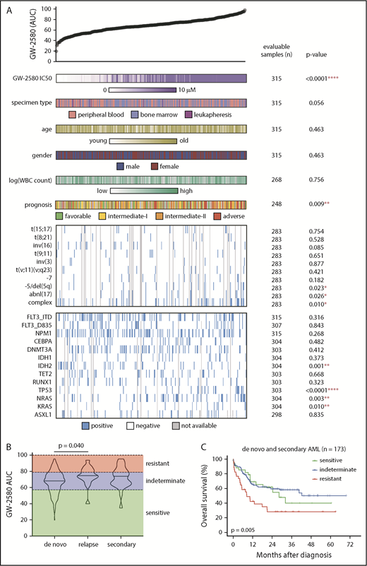 Figure 2. Resistance to CSF1R inhibitor is associated with adverse prognostic risk gene mutations and cytogenetic abnormalities. (A) GW-2580 AUC from primary AML patient samples (n = 315) was compared for a multitude of clinical and genetic characteristics, with number of samples with evaluable data and the P value listed for each characteristic. Prognostic risk was determined using the ELN guidelines for AML (see Döhner et al51). The presence/absence of translocations was determined from karyotype. Only translocations that were found in ≥2 patients were considered. Mutational data were collected by either targeted sequencing, whole-exome sequencing, or targeted polymerase chain reaction (PCR)-based methods (FLT3-ITD and NPM1). Significance was determined using either Mann-Whitney or Kruskal-Wallis tests (for categorical variables) or Spearman rank correlation (for continuous variables), and corrected for multiple comparisons if applicable. (B) GW-2580 AUC among the patient population with clinical data (n = 202 samples from 199 patients), subdivided into de novo (n = 158), secondary (n = 24), and relapsed (n = 20) AML disease presentation categories. Statistics were calculated on subdivided categories by the Kruskal-Wallis test with the Dunn multiple comparisons test. (C) Kaplan-Meier survival curve of patients with AML with both clinical and survival data (n = 173), grouped by the response of their corresponding ex vivo primary sample to GW-2580: sensitive (0-20th percentile), indeterminate (20th-80th), and resistant (80th-100th). P value obtained from the overall log-rank test.
