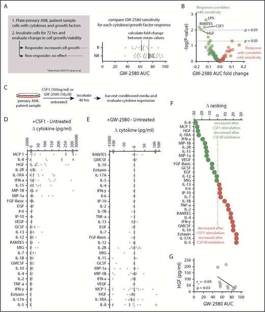 Figure 4. HGF stimulates growth in CSF1R inhibitor–sensitive samples and its secretion is regulated by CSF1R activation. (A) Schematic of analysis connecting cytokine growth assay results (data from Carey et al32) with CSF1R inhibitor sensitivity. (B) Cytokines and growth factors that increase AML cell growth are significantly associated with sensitivity to GW-2580. Data represent log2 fold change of GW-2580 AUCs between responders and nonresponders (n = 68 primary AML patient samples and 94 cytokines/growth factors) vs the unadjusted P value, determined by Student t tests. (C) Schematic of evaluating cytokine secretion after stimulation/inhibition of CSF1R in primary AML patient samples (n = 15). (D-E) Change in cytokine levels in conditioned media of primary AML patient samples after (D) CSF1R stimulation and (E) CSF1R inhibition. Cytokine levels for each patient sample are normalized to untreated and ranked by median value. (F) Difference in rank order of cytokines from panels D and E identifies cytokine secretion profile associated with upregulated and downregulated CSF1R activity. (G) Baseline HGF levels in primary AML patient samples correlate with GW-2580 sensitivity (n = 10). Significance determined by Spearman rank correlation.