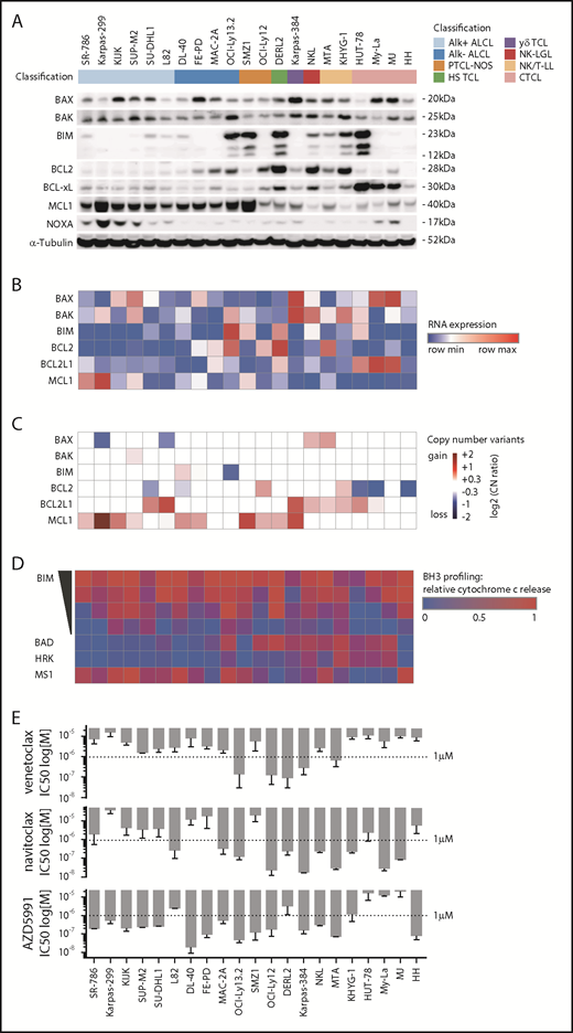 Figure 1. A characterization of the BCL2 family in cell line models of TCL. (A) Immunoblot of BAX, BAK, BIM, BCL2, BCL-xL, MCL1, NOXA, and α-Tubulin. (B) RNA expression levels by reads per kilobase of transcript, per million mapped reads, corresponding to panel A. (C) Copy number variants by whole exome sequencing, corresponding to panels A and B. (D) BH3 profiling corresponding to panels A-C using BIM at 10, 1, 0.3, and 0.1 µM; BAD and HRK at 80 µM; and MS1 at 10 µM. The heatmap illustrates mean values of the relative cytochrome c release in ≥3 independent replicates per cell line. (E) IC50 values of venetoclax (ABT-199), navitoclax (ABT-263), and AZD5991 at 72 hours corresponding to panels A-D. Bar graphs indicate mean values of at least 2 independent experiments in quadruplicates, error bars indicate the standard error of the mean.