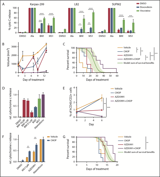 Figure 4. Combination of AZD5991 and CHOP. (A) Dynamic BH3 profiling indicating changes in apoptotic priming and MCL1 dependence induced by doxorubicin (250 nM) or vincristine (100 nM). Peptide concentrations were 0.3 µM for BIM and 1 µM for MS1. Bar graphs indicate ≥2 replicates of a representative experiment. Statistics was performed with 2-way analysis of variance and Bonferroni test. (B) Tumor volume of mice engrafted with WCTL-91953 and treated with either vehicle, CHOP, AZD5991, or CHOP+AZD5991. (C) Survival of mice engrafted with WCTL-91953 and treated with either vehicle, CHOP, AZD5991. or CHOP+AZD5991. CHOP: 1 cycle, d1-d5; AZD5991: d1 and d2 weekly for 3 weeks; n = 6 per arm. The green line indicates a calculated additive model, with 95% confidence intervals indicated as a green shaded range. P value of synergy of AZD5991+CHOP over additivity: 0.024. (D) BH3 profile of the hepatosplenic TCL PDX CBTL-81777. BIM concentrations as indicated, BAD, 80 μM; MS1, 10 μM. (E) Peripheral blood disease burden of mice engrafted with CBTL-81777 as assessed by hCD45/hCD2+ cells on days 0 and 6 after treatment with vehicle, CHOP, AZD5991, or CHOP+AZD5991. (F) BH3 profiles of mice engrafted with CBTL-81777, treated with either vehicle or CHOP (n = 3 per arm), and euthanized 48 hours after initiation of treatment. MS1 peptide, 1 µM; AZD5991, 1 µM. Bar graphs indicate ≥2 biological replicates (1 CHOP-treated sample was censored because of low quality). Statistics were performed with 2-way analysis of variance and Bonferroni test. (G) Survival of mice engrafted with CBTL-81777 and treated with either vehicle, CHOP, AZD5991, or CHOP+AZD5991. CHOP, 1 cycle, d1-d5; AZD5991, d1 and d2 weekly; n = 6 per arm. The green line indicates a calculated additive model, with 95% confidence intervals indicated as a green shaded range. P value of synergy of AZD5991+CHOP over additivity: .0005. All data points indicate mean values; error bars indicate standard error of the mean. *P < .05; **P < .01; ***P < .001; ****P < .0001.