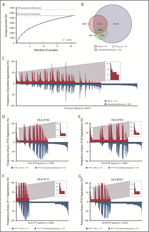 Figure 2. Comparative HLA class I ligandome profiling and identification of CML-associated antigens. (A) Saturation analysis of HLA class I ligand source proteins of the CML patient cohort. Number of unique HLA ligand source protein identifications are shown as a function of cumulative HLA ligandome analysis of CML samples (n = 21). Exponential regression allowed for the robust calculation (R2 = 0.9999) of the maximum attainable number of different source protein identifications (dotted line). The dashed red line depicts the source proteome coverage achieved in our CML patient cohort. (B) Overlap analysis of HLA class I ligand identifications of primary CML samples (n = 21), CMLMR samples (n = 15), and hematological benign samples (n = 108), including PBMCs (n = 63), granulocytes (n = 14), CD19+ B cells (n = 5), bone marrow (n = 18), and CD34+ HPCs (n = 8). (C) Comparative profiling of HLA class I ligands based on the frequency of HLA-restricted presentation in CML and hematological benign ligandomes. Frequencies of positive immunopeptidomes for the respective HLA ligands (x-axis) are indicated on the y-axis. To allow for better readability, HLA ligands identified on <5% of the samples within the respective cohort were not depicted in this plot. The box on the left and its magnification highlight the subset of CML-associated antigens showing CML-exclusive high frequent presentation. Allotype-specific comparative profiling of HLA-A*02–positive (D), HLA-A*03–positive (E), HLA-A*11–positive (F), and HLA-B*07–positive (G) samples, as described above. ID, identifications; pos., positive.