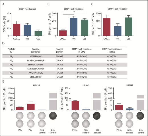 Figure 7. General functionality of T cells in CMLTKI patients and immunogenicity of HLA class II–restricted CML–associated antigens. (A) CD8+ T-cell counts for CML patients under TKI treatment (CMLTKI patients, n = 7) compared with HVs (n = 10) and CLL patients (n = 10). Retrospective analysis of preexisting immune responses directed against HLA class I–restricted (B) and HLA class II–restricted (C) viral T-cell epitopes (supplemental Table 3) analyzed in IFN-γ ELISPOT assays after a 12-day recall stimulation of PBMCs from CMLTKI patients (HLA class I, n = 10; HLA class II, n = 12), HVs (HLA class I, n = 14; HLA class II, n = 6), and CLL patients (HLA class I, n = 31; HLA class II, n = 24). (D) HLA class II–restricted CML-associated peptides with their corresponding source proteins and frequencies of preexisting immune recognition by CD4+ T cells from CML patients or HVs in IFN-γ ELISPOT assays after a 12-day stimulation. (E) Examples of CML-associated HLA class II–restricted peptides evaluated in IFN-γ ELISPOT assays using PBMCs from CML patients. Results are shown for immunoreactive peptides only. Phytohemagglutinin was used as positive control and the HLA class II–restricted FLNA_HUMAN1669-1683 peptide ETVITVDTKAAGKGK served as negative control. Because of low cell numbers, the results for UPN41 and UPN49 are shown as pool read-outs of all 6 HLA class II–restricted CML-associated peptides. Data are expressed as mean ± standard deviation of 2 independent replicates. ***P < .001. ID, identification; neg., negative; pos., positive; SFU, spot-forming unit; UPN, uniform patient number.