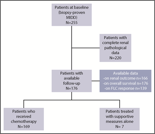 Figure 1. Study flowchart.