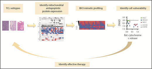 Functional precision medicine for patients with TCL using BH3 mimetic profiling. Functional profiling of T-cell lymphoma–derived cell lines was utilized to screen for cell susceptibilities to BH3 mimetics and BCL2 family inhibitors which can be used in combination with conventional chemotherapeutic agents. The figure has been adapted from the article by Koch et al that begins on page 566.