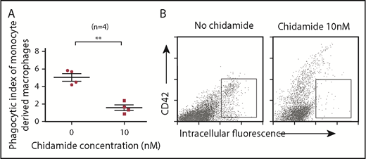 Figure 3. Low-dose chidamide inhibited macrophage phagocytosis of antibody-coated platelets in vitro. (A) Low-dose chidamide (10 nM) inhibited macrophage phagocytosis of mouse anti-human antibody-coated platelets in vitro (n = 4). (B) Intracellular fluorescence–positive scatters indicates platelets phagocytosed by macrophages. CD42+ scatter indicates adhered, but unphagocytosed, platelets. **P < .01.