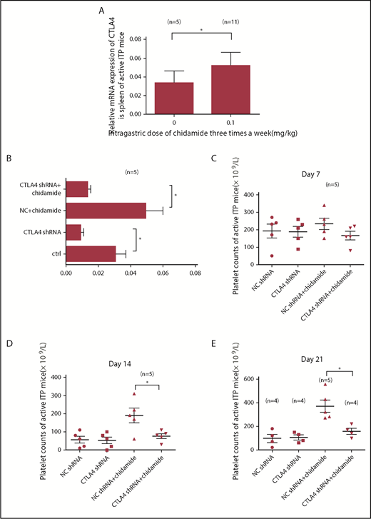 Figure 7. Low-dose chidamide increased CTLA4 mRNA expression, and CTLA4 shRNA interference prevented the platelet count from improving with chidamide treatment. (A) Low-dose chidamide increased relative mRNA expression of the CTLA4 gene in active ITP mice. (B) CTLA4 shRNA interference decreased CTLA4 gene expression in the CTLA4 shRNA group and in the CTLA4 shRNA + chidamide group in the active ITP mice. (C-E) CTLA4 shRNA transference offset the low-dose chidamide treatment in active ITP mice on days 14 and 21. *P < .05.