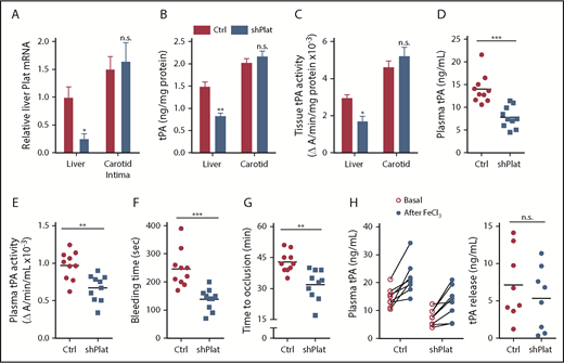 Figure 4. Silencing of hepatocyte Plat mRNA in WT mice decreases liver tPA, plasma tPA, and systemic fibrinolytic activity. Plat mRNA (A), tPA concentration by ELISA (B), and tPA activity by enzymatic assay (C) in the liver and carotid arterial lysates of WT mice injected with control AAV8-H1 virus or AAV8-H1-shPlat. Results are shown as mean ± SEM (n = 4 mice per each group). Plasma tPA protein concentration (D), plasma tPA activity (E), tail bleeding time (F), and time to occlusive carotid arterial thrombosis (G) induced by photochemical injury in WT mice injected with control AAV8-H1 virus or AAV8-H1-shPlat (n = 8-10 mice per each group). (H) Plasma tPA concentration 1 week before (basal) and 20 minutes after FeCl3-induced carotid artery thrombosis; tPA release was calculated by subtracting the basal value from the after-FeCl3 value for each mouse. Horizontal lines in dot-density plots indicate mean values. *P < .05, **P < .01, ***P < .001, 2-tailed Student t test (A-C,E-H), Mann-Whitney U test (D). n.s., not significant (P ≥ .05).