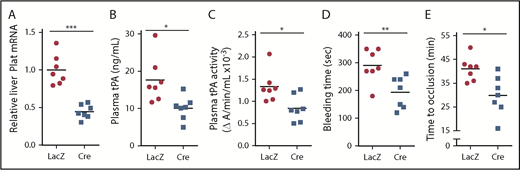 Figure 6. ATF6 deletion in hepatocytes decreases systemic fibrinolytic activity, bleeding time, and time to thrombotic carotid occlusion. Liver Plat mRNA (A), plasma tPA protein concentration (B), plasma tPA activity (C), tail bleeding time (D), and time to occlusive carotid arterial thrombosis (E) induced by photochemical injury in Atf6fl/fl mice treated with AAV8-TBG-LacZ or AAV8-TBG-Cre. Horizontal lines in dot-density plots indicate mean values. *P < .05, **P < .01, ***P < .01, 2-tailed Student t test (n = 7 mice per each group).