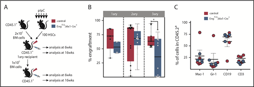 Figure 3. Hematopoietic defect is cell autonomous. (A) Outline of transplantation experiments. A total of 100 purified HSCs from pIpC-treated Engfl/Δ;Mx1-Cre+ mice (blue) or control mice (red) was injected into lethally irradiated CD45.1 recipient mice, along with 2 × 105 CD45.1 total BM competitor cells. For subsequent serial transplantation, 1 × 106 total pooled BM cells were injected into lethally irradiated CD45.1 recipients. (B) Percentage of CD45.2 chimerism in primary to tertiary recipients (left to right) at 6 and 16 weeks following HSC transplantation confirm defective hematopoietic reconstitution in tertiary recipient mice. Box plot whiskers represent minimum and maximum values for each cohort. (C) Contribution of CD45.2+ donor cells to macrophages, granulocytes, B lymphocytes, and T lymphocytes. Error bars indicate standard error of the mean for each cohort. *P < .05.