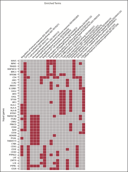 Figure 5. Canonical pathways are altered in brains from patient-derived xenografts after treatment with CART19 cells. Red boxes indicate upregulation of genes in CART19 cells plus isotype control–treated mice compared with the untreated patient-derived xenografts.