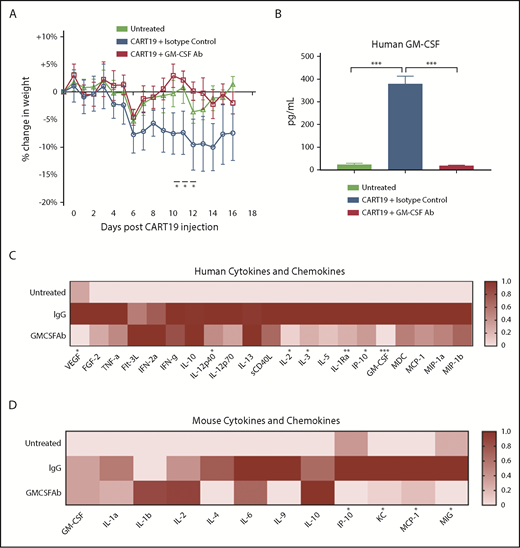 Figure 6. GM-CSF neutralization in vivo ameliorates CRS after CART19 therapy in a xenograft model. (A) Lenzilumab and anti-mouse GM-CSF antibody prevent CRS-induced weight loss compared with mice treated with CART19 cells and isotype-control antibodies; 3 mice per group, 2-way analysis of variance. Data are mean ± SEM. (B) Human GM-CSF was neutralized in patient-derived xenografts treated with lenzilumab and mouse GM-CSF–neutralizing antibody; 3 mice per group. Data are mean ± SEM. *P < .05, ***P < .001, Student t test. (C) Human cytokine/chemokine heat map (serum collected 11 days after CART19 cell injection) exhibits increases in cytokines and chemokines typical of CRS after CART19 cell treatment. GM-CSF neutralization results in a significant decrease in several cytokines and chemokines compared with mice treated with CART19 cells and isotype-control antibodies, including several myeloid-associated cytokines and chemokines, as indicated in the panel; 3 mice per group, serum from day 11 post–CART19 cell injection. *P < .05, **P < .01, ***P < .001, GM-CSF neutralizing antibody–treated mice vs isotype control–treated mice that received CAR-T cell therapy, Student t test. (D) Mouse cytokine/chemokine heat map (serum collected 11 days after CART19 cell injection) exhibits increases in mouse cytokines and chemokines typical of CRS after CART19 cell treatment. GM-CSF neutralization results in a significant decrease in several cytokines and chemokines compared with treatment with CART19 cells with control antibodies, including several myeloid-differentiating cytokines and chemokines, as indicated in the panel; 3 mice per group, serum from day 11 post–CART19 cell injection, *P < .05, GM-CSF neutralizing antibody–treated mice vs isotype control–treated mice that received CAR-T cell therapy, Student t test.