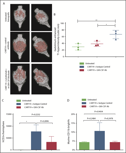 Figure 7. GM-CSF neutralization in vivo ameliorates NI after CART19 cell therapy in a xenograft model. (A-B) Gadolinium-enhanced T1-hyperintensity (cubic millimeters) MRI showed that GM-CSF neutralization helped to reduced brain inflammation, blood–brain barrier disruption, and possible edema compared with isotype control. (A) Representative images. (B) Three mice per group. Data are mean ± SD. *P < .05, **P < .01, 1-way analysis of variance. (C) Human CD3 T cells were present in the brain after treatment with CART19 cell therapy. GM-CSF neutralization resulted in a decreased raw average of CD3 infiltration in the brain (although not statistically significant), as assayed by flow cytometry in brain hemispheres; 3 mice per group. Data are mean ± SEM. *P < .05, Student t test. (D) CD11b+ bright macrophages were decreased in raw average (although not statistically significant) in the brains of mice receiving GM-CSF neutralization during CAR-T cell therapy compared with those receiving isotype-control treatment during CAR-T cell therapy, as assayed by flow cytometry in brain hemispheres; 3 mice per group. Data are mean ± SEM, Student t test.