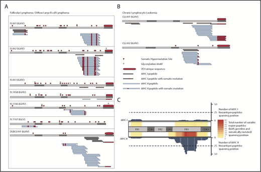 Figure 1. Presentation of lymphoma immunoglobulin peptides by MHC. FL/DLBCL (A) and CLL (B) specimens were lysed, and MHC-I and MHC-II were immunoprecipitated in parallel. MHC-bound peptides were acid-eluted, fractionated by LC, and analyzed by MS. MHC-I (gray) and MHC-II (blue) bound peptides are depicted. Somatically mutated residues (either through somatic hypermutation or VDJ rearrangement) are shown in red. (C) Heatmap depicting the number of total class I (top) and class II (bottom) ligands across the immunoglobulin heavy chain for all patients. Both germline-derived and neoantigen peptides are included. The bar plots represent the number of neoantigen peptides spanning each position of the heavy chain for class I (top) and class II (bottom). CDR, complementarity-determining region; FR, framework region; IGHV, immunoglobulin heavy-chain variable region; IGLV, immunoglobulin light-chain variable region.