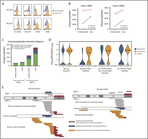 Figure 2. Activation of MCL with a TLR9 agonist alters MHC presentation of the lymphoma immunoglobulin. Equal numbers of MCL cells were incubated for 72 hours with or without cytosine guanine dinucleotide (CpG), a TLR9 agonist. (A) Flow cytometry assessment of antigen-presentation molecule expression with (orange) and without (blue) CpG treatment. Two representative cases of MCL are shown. (B) MHC-I– and MHC-II–bound ligands were purified and analyzed by LC and MS. The total number of unique MHC-I (left) and MHC-II (right) associated peptides is shown with and without CpG treatment. (C) The number of unique MHC-I– and MHC-II–bound ligands derived from the lymphoma immunoglobulin (Ig) constant and variable regions is shown. (D) Kernel density violin plots of the estimated normalized abundance of MHC-II–bound peptides recovered from unstimulated and CpG-treated MCL. (E) Mapping of MHC-I and MHC-II presentation of the MCL immunoglobulin is shown. MHC ligands recovered from CpG-treated cells and untreated cells are separated by a dashed line. ND, not detected; NPA, normalized protein abundance.
