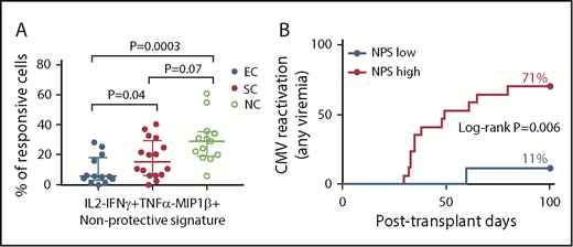 Figure 5. Skewed distribution of the NPS in patients with CMV reactivation (any DNAemia). (A) The skewed distribution of the NPS (IL-2−IFN-γ+TNF-α−ΜIP-1β+ cells within the CMV(pp65)-specific CD8+ T-cell compartment) in patients with CMV reactivation, with the highest levels among those individuals with clinically significant CMV. P value for comparision between groups using Mann-Whitney U test. EC (n = 13); SC (n = 16); NC (n = 13). (B) The 100-day cumulative incidence of CMV reactivation (any DNAemia) by levels of NPS, using 5.7% as cutoff. Specific cutoff was identified using the most significant P value approach. Number of subjects in log-rank analysis was 9 and 17 for NPS low and high, respectively.