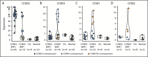 Figure 3. Expression of G1-phase cyclins by qPCR. The expression of (A) CCND2, (B) CCND3, (C) CCNE1, and (D) CCNE2 was represented according to 4 categories: MCL positive or negative for the CCND2 break-apart FISH test (CCND2 BAP+ and CCND2 BAP−, respectively), CLL, and nonneoplastic lymphoid samples (normal). Colored dots highlight cases with overexpression of CCND2 (dark blue), CCND3 (light blue), CCNE1/CCNE2 (orange). The overexpression cutoff values were calculated as the mean plus 3 standard deviations in nonrearranged cases: 15.1 for CCND2, 6.2 for CCND3, 3 for CCNE1, and 2.4 for CCNE2. The y-axis of the CCND2 graph has been transformed for the expression values above 50 (dashed arrow).