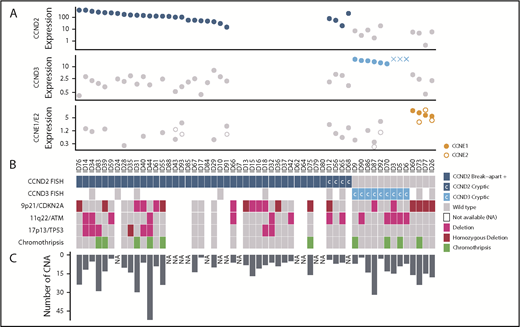 Figure 5. Global genetic landscape of the 56 cyclin D1−MCL. Each MCL case is represented in a column and several specific molecular analysis in different rows. From top to bottom: (A) 3 plots showing cyclin-expression levels detected by qPCR (and by gene-expression arrays in 3 cases, indicated with “X”); (B) FISH results using break-apart or specific IGK-enh and CCND2 or CCND3 probes to detect cryptic rearrangements (rearranged cases in dark and light blue, respectively, and cryptic rearrangements are indicated with “C”); deletions of 9p21, 11q22, and 17p13 by copy-number arrays (deletion in pink, homozygous deletion in bordeaux); and presence of chromothripsis (green). (C) The bar graph indicates the number of CNAs detected in each case. NA, not available.