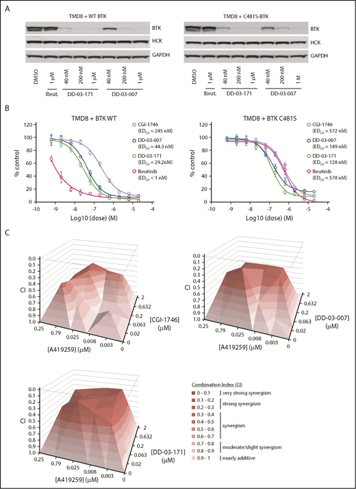 Figure 3. BTK degraders overcome ibrutinib resistance in ABC DLBCL. (A) Immunoblots of TMD8 cells overexpressing WT- or C481S-BTK treated with the indicated compounds for 16 hours. (B) TMD8 cells overexpressing either WT- or C481S-BTK were treated for 3 days with the indicated compounds. Antiproliferative effects of compounds were assessed using a CellTiter-Glo assay kit (Promega), and ED50 values were determined using GraphPad Prism nonlinear regression curve fit. (C) TMD8 cells were treated with the indicated compound combinations for 3 days. Plots show combination index (CI) scores. CI < 1 indicates synergy. GAPDH, glyceraldehyde-3-phosphate dehydrogenase.