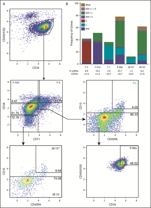 Figure 2. Phenotypes of clonogenic cells with relatively homogeneous output activities. (A) Representative fluorescence-activated cell sorting plot of a gating strategy to isolate functionally more homogeneous lin–CD34+ CB progenitors. (B) Mean combinatorial outputs of NM, E, and L (B, NK, or T-precursor) cells from each gated population in clonal STC assays (4 independent experiments). Mean ± SD for the frequency of each population within the lin–CD34+ compartment is indicated below the relevant labels. See also supplemental Tables 4 and 5.