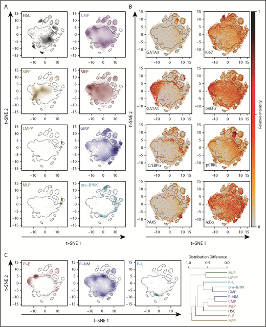 Figure 3. Progenitor phenotypes exhibit distinct but overlapping molecular profiles. (A) t-SNE distributions determined from the levels of different surface and intracellular markers for each lin–CD34+ CB phenotype analyzed. Increasing cell densities are indicated by increasing color intensities. Black contours delineate the 75th quantile of the overall density distribution. Plots for the CD34+CD38– subpopulations are shown on the left, and for the CD34+CD38+ subpopulations, on the right. (B) Relative levels of different TFs (left) and signaling proteins (right) across the t-SNE distributions of all CD34+ cells analyzed. (C) t-SNE distributions for alternative phenotypes are shown as in (A). The far-right panel shows a hierarchical clustering of all phenotypically defined populations (8 conventional phenotypes plus 3 new phenotypes) based on pairwise differences in their density distributions. HSC, hematopoietic stem cells.
