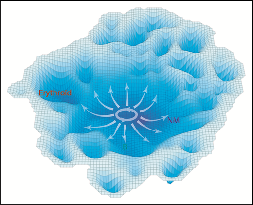Figure 7. A schematic representation of the molecular landscape of human CD34+ CB cell differentiation. Contours shown are derived from the molecular data using the inverse of the cell density in t-SNE space to estimate the stability of different molecular states. Annotation was added based on functional mapping data. Arrows indicate the multidirectional paths that could be taken from primitive to more restricted differentiation states based on the experimental data.
