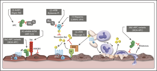 Figure 4. Therapeutic modulation of coagulation processes in sepsis. This illustration highlights some of the therapeutic targets of various anticoagulant approaches trialed in sepsis. (1) Inhibiting the procoagulant and proinflammatory functions of thrombin and FXa was initially trialed through the use of unfractionated heparin (UFH) or low-molecular-weight heparins (LMWHs). (2) Restoring the circulating plasma levels of ATIII has also been trialed via the infusion of recombinant human ATIII. Bolstering the anticoagulant and anti-inflammatory properties of endothelial cells has been attempted through the administration of recombination APC (3), recombinant human TM (rhTM) (4), or TFPI (5). Despite heparins, APC, ATIII, and TFPI having unique pharmacological profiles, acting at distinct points in the coagulation cascade, and possessing additional pharmacological activities independent of their anticoagulant effects, their potential clinical benefits have been undermined by bleeding complications. Improved understanding of the structural regions of APC responsible for anti-inflammatory properties (6a) and cytoprotective properties (6b), independent of anticoagulant effects, has facilitated the generation of recombinant mutants of APC with potentially fewer bleeding side effects (6a-b).