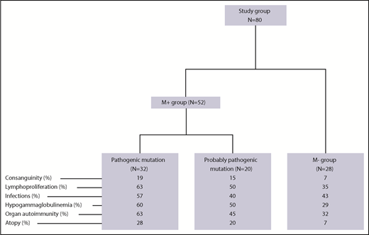Figure 1. Summary of clinical presentations in the study group.