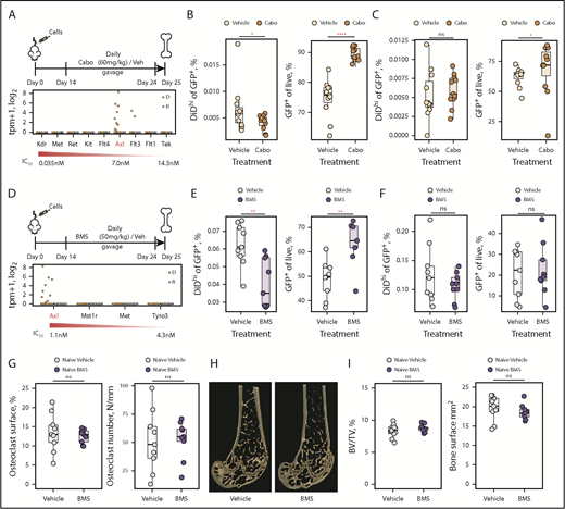 Figure 6. Inhibiting AXL releases myeloma cells from dormancy. (A) Experimental design investigating carbozantinib (cabo) treatment on dormant myeloma cells (top) and transcript expression levels of cabo targets in dormant (D) and reactivated (R) cells (bottom). (B) Impact of cabo treatment on dormant cells (left) and myeloma burden (right) in the bone marrow. (C) Impact of cabo treatment on dormant cells (left) and myeloma burden (right) in the spleen. (D) Experimental design investigating BMS-777607 (BMS) treatment on dormant myeloma cells (top) and transcript expression levels of BMS targets in dormant (D) and reactivated (R) cells (bottom). (E) Impact of BMS treatment on dormant cells (left) and myeloma burden (right) in the bone marrow. (F) Impact of BMS treatment on dormant cells (left) and myeloma burden (right) in the spleen. (G) Impact of BMS and vehicle treatment on osteoclast surface (%) (left) and number (per mm) (right). Individual points represent a single mouse. (H) Three-dimensional micro computed tomography reconstructions of distal femora from representative mice treated with BMS or vehicle. (I) Impact of BMS and vehicle treatment on trabecular bone volume/total volume (BV/TV; %) (left) and the bone surface (mm2) (right). Data represented by median and IQR. Mann-Whitney test: *P < .05, **P < .01, ****P < .001. IC50, half maximal inhibitory concentration; ns, not significant.