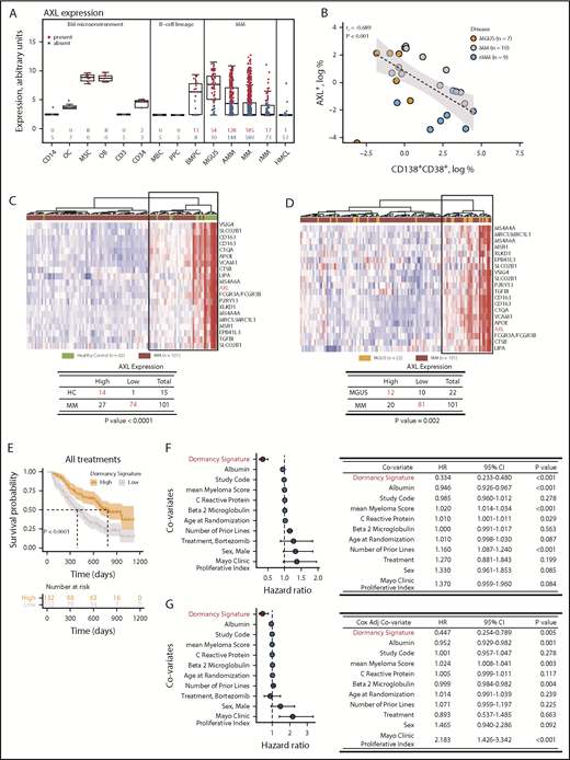 Figure 7. Myeloid transcriptome signature predicts disease progression. (A) Gene expression profiling of isolated bone marrow (BM) cells, CD14+ monocytes (CD14), osteoclasts (OCs), mesenchymal stromal cells (MSCs), osteoblasts (OBs), T cells (CD3), hematopoietic stem cells (CD34), memory B cells (MBCs), in vitro–generated polyclonal plasmablastic cells (PPCs), BM plasma cells (BMPCs), and CD138+ cells from patients with MGUS, asymptomatic MM (AMM), MM, and relapsed MM (rMM). Blue represents the absence of expression; red represents expression according to the presence-absence calls with negative probesets algorithm. Data represented by box and whisker plots. (B) Relationship between expression of AXL and CD138+CD38+ determined by flow cytometry for plasma cells isolated from patients with MGUS, MM, and rMM. (C) AXL nearest-neighbor analysis of CD138+ plasma cells in healthy controls (HC; green) and patients with MM (brown) from the Mayo Clinic microarray data set. Heatmap of 20 genes coexpressed with AXL in HC compared with MM (top) and the χ2 test of the association of AXL expression in HC vs MM (bottom). (D) AXL nearest-neighbor analysis of CD138+ plasma cells in MGUS (orange) and MM (brown) from Mayo clinic microarray data set. Heatmap of 20 genes coexpressed with AXL in MGUS compared with MM (top) and the χ2 test of the association of AXL expression in MGUS vs MM (bottom). (E) Kaplan-Meier analysis of dormancy signature genes and overall survival in the Millennium clinical trial microarray data set. (F) Univariate Cox regression analysis of the dormancy gene signature (red) and disease biomarkers. Forest plot of the HRs and 95% CIs (left) and summary table (right). (G) Cox-adjusted analysis of the dormancy gene signature (red) and disease biomarkers. Forest plot of the HRs and 95% CIs (left) and summary table (right).