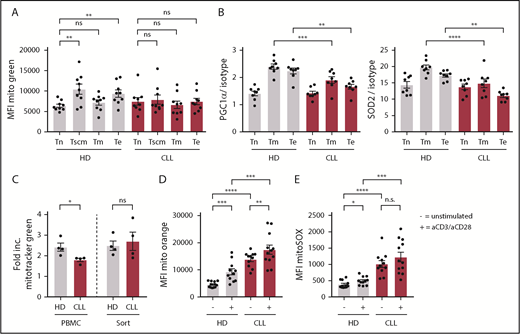 Figure 5. Impaired induction of mitochondrial biogenesis in CLL-derived CD8+ T cells. PBMCs from CLL patients and age-matched HDs were thawed and subsets of CD8+ T cells were directly analyzed by flow cytometry. (A) Mitochondrial mass as defined by Mitotracker Green; naive T (Tn) cells: CD27+CD45RA+CCR7+CD95−; memory stem cells (Tscm): CD27+CD45RA+CCR7+CD95+; memory T cells (Tm): CD27+CD45RA−; and effector T cells (Te): CD27−CD45RA−/+ (CLL, n = 9; HD, n = 9). (B) PGC-1α and SOD2 expression in CD8+ T-cell subsets defined as naive (Tn: CD27+CD45RA+), memory (Tm: CD27+CD45RA−), and effector T cells (Te: CD27−CD45RA−/+; CLL, n = 8; HD, n = 8). (C-E) PBMCs were stimulated by using anti-CD3/CD28 antibodies for 2 days and being analyzed for (C) induction of mitochondrial mass, which was calculated by dividing the MFI of Mitotracker Green of stimulated cells by unstimulated cells (CLL, n = 4; HD, n = 4), (D) ΔΨm (CLL, n = 11-12; HD, n = 11-12; unstimulated control is the same as in Figure 4D), and (E) mitochondrial ROS (CLL, n = 11-12; HD, n = 11-12; unstimulated control is the same as in Figure 4E). Normality was determined by a D’Agostino and Pearson normality test. The P value was calculated by a paired Student t test (A), an unpaired Student t test (B, D), a Mann-Whitney test (C), or a Welch test (D-E). Data are presented as mean plus or minus SEM. *P < .05; **P < .005; ***P < .0005; ****P < .0001.