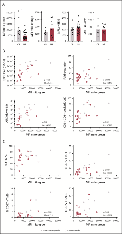 Figure 6. Increased mitochondrial mass in CAR T cells from CLL patients showing complete response to CD19 CAR T-cell therapy. Patients were separated into 2 groups based on response to therapy: CRs and NRs. Viably frozen infusion products from CLL patients undergoing a CD19 CAR T-cell trial (NCT01747486, and NCT01029366; CR, n = 7; NR, n = 20) were thawed and CAR+CD8+ T cells were analyzed for (A) mitochondrial mass (Mitotracker Green), glucose uptake (2-NBDG), mitochondrial membrane potential (Mitotracker Orange), and mitochondrial ROS (MitoSOX). (B) Mitochondrial mass of CAR+CD8+ T cells plotted against determinants of clinical outcome including expansion of the CAR T-cell culture (fold expansion), expansion of the CAR T cells after infusion (qPCR CAR days 0-35), persistence of CAR T cells calculated at days 0 to 35 postinfusion (AUC days 0-35), and overall expansion of CD8+ T cells after infusion (CD3+CD8+ peak days 0-28) (CR, n = 6; NR, n = 18). (C) Mitochondrial mass of CAR+CD8+ T cells plotted against the percentage of CD27+ cells negative for PD-1, TIM-3, and LAG-3 (CR, n = 6; NR, n = 18). Normality was determined by a D’Agostino and Pearson normality test. The P value was calculated by a Mann-Whitney test (A). Correlations were determined by a Spearman Rho test (B-C). Data are presented as mean plus or minus SEM. *P < .05.