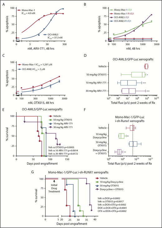 Figure 4. BETP-PROTAC ARV-771 is more potent than BETi OTX015 in reducing the in vivo AML burden and improving survival of NSG mice engrafted with luciferase-transduced mtRUNX1 expressing AML cells. (A-C) Mono-Mac-1 and OCI-AML5 cells were treated with the indicated concentrations of BETP-PROTAC ARV-771, BET inhibitor JQ1 or the inactive R-JQ1, or BET inhibitor OTX015 for 48 hours. The percentage of annexin V–positive apoptotic cells were determined by using flow cytometry. (D) NSG mice were infused with luciferase-expressing OCI-AML5 cells and monitored for 7 days. Engraftment of leukemia was documented by bioluminescent imaging. Mice were then treated for 2 weeks with vehicle, OTX015, or ARV-771 as indicated. Mice were then imaged by using a Xenogen camera to determine treatment efficacy. Total flux (photons/second) in vehicle-, OTX015-, or ARV-771–treated mice as determined by bioluminescent imaging. *Total photon counts that were significantly less in the OTX015- and ARV-771–treated mice compared with the vehicle-treated mice (*P < .05, ***P < .005). (E) Kaplan-Meier survival plot of the in vivo activity of OTX015 or ARV-771 against OCI-AML5-Luc xenografts treated for 3 weeks in NSG mice. Significance between OTX015- and ARV-771–treated vs vehicle-treated mice was determined by using a Mantel-Cox rank sum test. (F) NSG mice were infused with luciferase-expressing Mono-Mac-1 cells transduced with doxycycline (DOX)-inducible RUNX1 shRNA and monitored for 4 days. Mice were imaged to document engraftment of leukemia and then treated with vehicle, 10 mg/kg of DOX, and/or OTX015 as indicated for 2 weeks. Mice were imaged with a Xenogen camera, and total photon counts were recorded. *Indicates total flux (photons/second) that were significantly less in the RUNX1 shRNA and RUNX1 shRNA + OTX015-treated mice compared with the vehicle-treated mice (**P < .01). (G) Kaplan-Meier survival plot of the in vivo activity of DOX and/or OTX015 against Mono-Mac-1/GFP-Luc-i-sh-RUNX1 xenografts in NSG mice. Significance between vehicle and DOX and/or OTX015 was determined by using a Mantel-Cox rank sum test.
