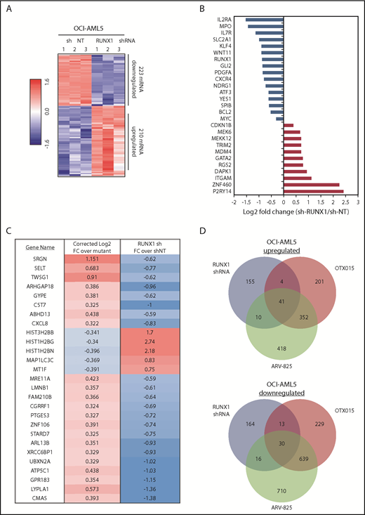 Figure 6. Global gene expression alterations caused by depletion of RUNX1 in AML cells are opposite to the expression signature induced by correction of RUNX1 mutation in induced pluripotent stem cells (IPSCs) from a patient with FPD/AML. (A) RNA-Seq analysis of OCI-AML5 cells transduced with sh NT or RUNX1 shRNA for 72 hours. The heat map shows the number of upregulated and downregulated genes with a fold change ≥1.5 and a P value < .05. (B) Log2 fold-change of selected mRNA expression alterations resulting from knockdown of RUNX1 in OCI-AML5 cells. (C) Comparison of the gene expression signature in IPSCs from an FPD-AML patient with correction of RUNX1 mutation to those in OCI-AML5 cells after depletion of RUNX1 by shRNA. (D) OCI-AML5 cells were treated with 1 µM of ARV-825 or OTX015 for 4 hours. RNA-Seq analysis was performed on biologic triplicate RNA samples. mRNAs identified with a fold-change ≥2.0 in either direction (relative to the untreated control) and a P value < .05 in the ARV-825 (1395 down/821 up) and OTX015 (911 down/598 up) treated cells were used to construct a Venn diagram. The Venn diagram shows the expression overlaps between RUNX1 shRNA and treatment with OTX015 or ARV-825.