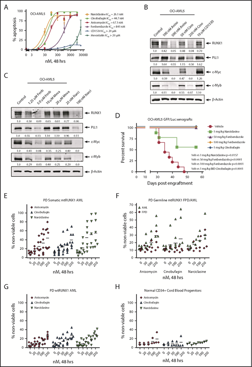 Figure 7. Treatment with EMs induces apoptosis, loss of cell viability of PD somatic and germline mtRUNX1 expressing AML, depletes RUNX1 protein expression, and improves the survival of mice engrafted with mtRUNX1 expressing AML cells. (A) OCI-AML5 cells were treated with anisomycin, cinobufagin, CD1530, narciclasine, fenbendazole, or mevastatin at concentrations ranging from 10 nM to 20 µM for 48 hours. The IC50 dose of each drug was calculated and is shown. (B-C) Immunoblot analysis of OCI-AML5 cells treated with the indicated concentrations of EMs for 24 hours. Expression levels of β-actin in the lysates served as the loading control. (D) Kaplan-Meier survival plot of the in vivo activity of 1 mg/kg of narciclasine, 50 mg/kg or 100 mg/kg of fenbendazole, or 1 mg/kg of cinobufagin (twice daily) against OCI-AML5/GFP-Luc xenografts in NSG mice. Significance between mice treated with 1 mg/kg of narciclasine, 50 mg/kg or 100 mg/kg of fenbendazole, or 1 mg/kg of cinobufagin (twice daily) vs vehicle-treated mice was determined by using a Mantel-Cox rank sum test. (E-G) PD CD34+ somatic mtRUNX1 expressing AML cells (n = ≥6 samples per drug), wtRUNX1 AML cells (n = 6), germline mtRUNX1 expressing AML cells (n = ≥3), and mtRUNX1 FPD cells (n = ≥3) were treated with the indicated concentrations of anisomycin, cinobufagin, and narciclasine for 48 hours. The percentage of propidium iodide (PI)–positive nonviable cells was then determined by using flow cytometry. (H) Normal CD34+ cord blood progenitor cells (n = 3) were treated with the indicated concentrations of anisomycin, cinobufagin, and narciclasine for 48 hours. The percentage of PI-positive nonviable cells was then determined by using flow cytometry.