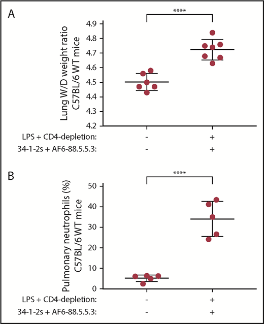 Figure 1. Antibody-mediated TRALI is associated with increased pulmonary PMN accumulation in WT mice. Lung W/D weight ratios (A) and percentage of pulmonary PMNs (B) in C57BL/6 WT mice primed with LPS, depleted of CD4+ T cells, and injected (or not) with anti-MHC class I antibodies (clones 34-1-2s and AF6-88.5.5.3). Statistical analysis was performed with a 1-tailed unpaired Student t test. Each dot represents 1 mouse and error bars represent SD. ****P < .0001.