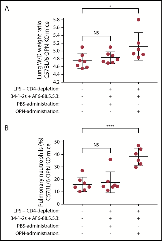 Figure 2. OPN KO mice are resistant to antibody-mediated TRALI, however, OPN administration restores PMN-dependent antibody-mediated TRALI. Lung W/D weight ratios (A) and percentage of pulmonary PMNs (B) in C57BL/6 OPN KO mice primed with LPS, depleted of CD4+ T cells, and injected with anti-MHC class I antibodies (clones 34-1-2s and AF6-88.5.5.3) and either PBS or OPN. For statistical analyses, only significant comparisons of interest are shown. Statistical analysis was performed with a 1-way analysis of variance (ANOVA) with a Tukey post hoc test. Each dot represents 1 mouse and error bars represent SD. *P < .05, ****P < .0001. NS, nonsignificant.