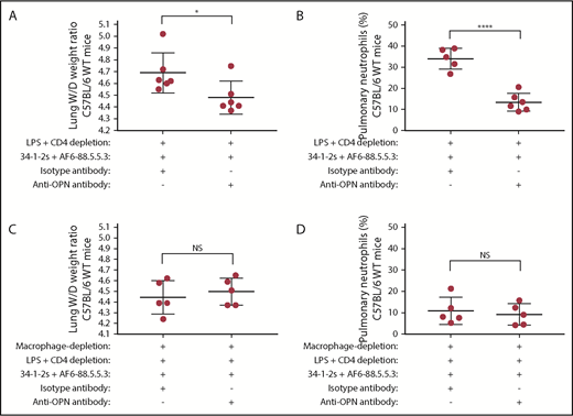 Figure 3. Blockade of OPN in WT mice or macrophage depletion prevents the occurrence of PMN-dependent antibody-mediated TRALI in C57BL/6 WT mice. Lung W/D weight ratios (A,C) and percentage of pulmonary PMNs (B,D) in C57BL/6 WT mice primed with LPS, depleted of CD4+ T cells, injected with anti-MHC class I antibodies (clones 34-1-2s and AF6-88.5.5.3), either isotype-control antibody or anti-OPN antibody, and depleted of macrophages (C-D) or not (A-B). Statistical analysis was performed with a 1-tailed unpaired Student t test. Each dot represents 1 mouse, and error bars represent SD. *P < .05, ****P < .0001.