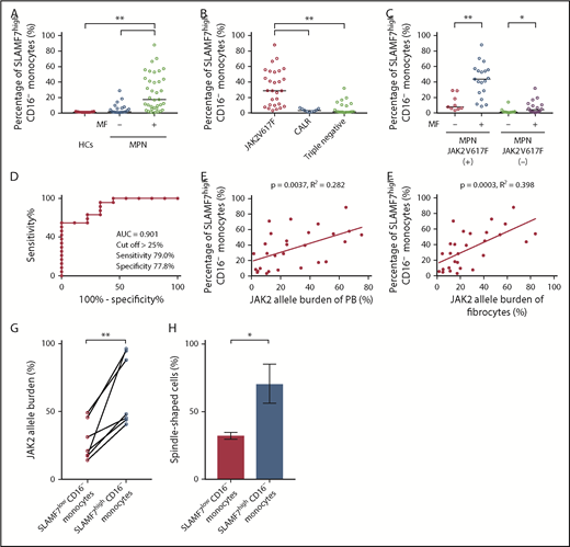 Figure 2. Increase in the percentage of SLAMF7high CD16− monocytes in PB of MPN patients with MF who harbored JAK2V617F and the correlations between SLAMF7high CD16− monocytes and JAK2 allele burden in PB and fibrocytes. (A) Comparison of SLAMF7highCD16− monocytes in PB among HCs and MPN patients with or without MF. The median percentage of SLAMF7highCD16− monocytes in PB of HCs (n = 21), MPN patients without MF (n = 21), and MPN patients with MF (n = 37) were 0.94%, 3.23%, and 19.60%, respectively. The SLAMF7highCD16− monocyte percentage of MPN patients with MF was significantly increased compared with HCs and MPN patients without MF. The results are reported as medians. Statistical significance was calculated using 1-way ANOVA with post hoc Steel-Dwass test. (B) Subgroup analyses by genetic mutation (JAK2V617F, CALR, and triple-negative mutations). In this analysis, we excluded the MPL group because it contained only 1 patient and could not be subjected to statistical analysis. SLAMF7highCD16− monocytes were significantly increased in the MPN patients who harbored a JAK2V617F mutation (n = 28) compared with the MPN patients who harbored a CALR mutation (n = 9) or the MPN patients with triple-negative mutations (n = 20) (median: JAK2V617F 28.75% vs CALR 3.26% vs triple-negative mutations 1.73%; P < .01). The results are reported as medians. Statistical significance was calculated using 1-way ANOVA with post hoc Steel-Dwass test, (C) Subgroup analysis of SLAMF7highCD16− monocytes in PB by the presence or absence of JAK2V617F mutation. MPN patients with MF who harbored JAK2V617F (n = 19) had a significantly higher SLAMF7highCD16− monocyte percentage than those without MF (n = 9) (median: 43.70% vs 7.74%; P < .01). In a similar manner, MPN patients with MF who did not harbor JAK2V617F (n = 18) had a significantly higher SLAMF7highCD16− monocyte percentage than those without MF (n = 12) (median: 1.24% vs 4.32%; P < .05). The contrast between patients with and without MF was clearer in MPN patients who harbored JAK2V617F than in those who did not harbor JAK2V617F. Results are reported as medians. Statistical significance was calculated using the Mann-Whitney U test. (D) ROC curve showing the cutoff value of the percentage of SLAMF7highCD16− monocytes in PB for separating MPN patients with MF who harbored a JAK2V617F mutation from those without MF. The AUC was 0.901, and by setting the cutoff of the percentage of SLAMF7highCD16− monocytes to >25%, the sensitivity and specificity for classifying MF onset were 79.0% and 77.8%, respectively. (E) Correlation between SLAMF7highCD16− monocytes in PB and JAK2 allele burden of PB (n = 28). There was a positive correlation between the SLAMF7highCD16− monocyte percentage in PB and the JAK2V617F allele burden of PB (r = 0.531; R2 = 0.282; P = .0037). Pearson’s correlation coefficient was calculated, and the statistical significance was calculated using linear regression analysis. (F) Correlation between SLAMF7highCD16− monocytes in PB and the JAK2 allele burden of cultured fibrocytes (n = 28). There was a positive correlation between SLAMF7highCD16− monocyte percentage in PB and JAK2V617F allele burden of fibrocytes (r = 0.631; R2 = 0.398; P = .0003). Pearson’s correlation coefficient was calculated, and the statistical significance was calculated using linear regression analysis. (G) The JAK2V617F allele burden of isolated SLAMF7lowCD16− monocytes and isolated SLAMF7highCD16− monocytes from 7 MPN patients who harbored JAK2V617F. The JAK2V617F allele burden of isolated SLAMF7highCD16− monocytes was significantly higher than the JAK2V617F allele burden of isolated SLAMF7lowCD16− monocytes (paired Student t test P < .01). (H) Culture assay of isolated SLAMF7lowCD16− monocytes and isolated SLAMF7highCD16− monocytes collected from 2 MPN patients who harbored a JAK2V617F mutation. The frequency of fibrocytes derived from SLAMF7highCD16− monocytes was significantly increased compared with that from SLAMF7lowCD16− monocytes. Results are reported as the mean ± standard deviation of data obtained from 3 individual experiments. Statistical significance was calculated by unpaired Student t test. *P < .05; **P < .01.