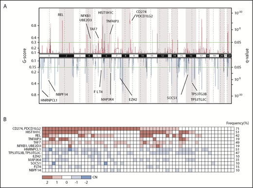 Figure 3. Recurrent CN alterations in PMBL. (A) Significant CN gains (red) and losses (blue) as inferred from whole-exome sequencing data using GISTIC 2.0. Potential candidate genes are highlighted next to their respective genomic locus. (B) Frequency plot of genes displaying significant CN alterations across the cohort. Red indicates CN gain, and blue indicates CN loss, where values are derived from GISTIC and indicate copy-number level per gene: −2 = homozygous deletion; −1 = heterozygous deletion; 0 = CN unchanged; 1 = low-level gain; 2 = high-level gain/amplification. Genes were sorted according to gain/deletion and then per q value as calculated by using GISTIC.