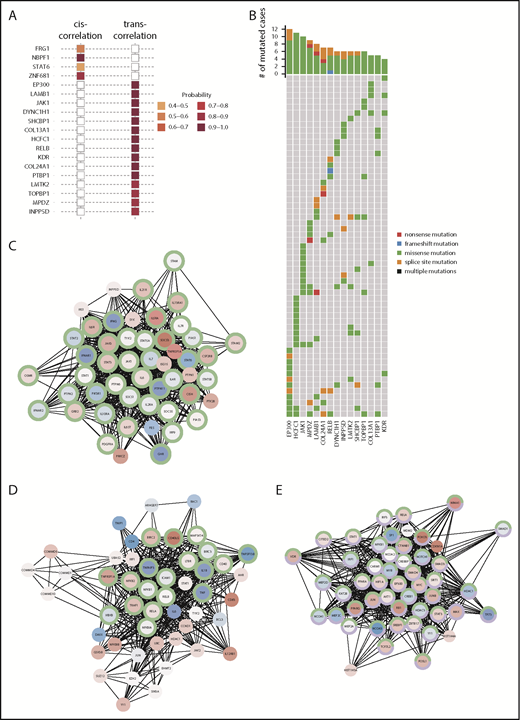 Figure 5. Impact of recurrent mutations on the transcriptome. (A) Plot displaying sets of genes identified as showing significant cis- or trans-effects on gene expression based on xseq analysis. (B) Oncoplot showing the distribution of mutations in genes with a trans-effect across the entire cohort. Gene association networks for significant trans-influencing genes exemplified by (C) JAK1, (D) RELB, and (E) EP300 based on xseq analysis. Nodes represent genes within the interaction network, and edges are interactions between genes based on the global influence network (see "Methods" for details). Nodes are colored by average log2 normalized expression across patients whose tumors harbor mutations, with red indicating high expression and blue indicating low expression. Genes with green borders in the network are functionally enriched for the JAK-STAT signaling pathway (panel C, FDR, P = 4.44E-72) or the NF-κB signaling pathway (panel D, FDR, P = 8.13E-27), respectively. In panel E, the green and purple borders highlight genes enriched in pathways related to epigenetic regulation, specifically the regulation of transcription (FDR, P = 8.3E-47) and the regulation of nucleic acid–templated transcription (FDR, P = 4.83E-43), respectively.
