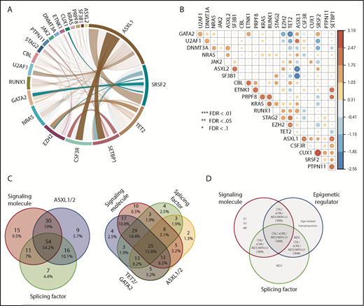 Figure 2. Mutations in signaling molecules, epigenetic regulators, and splicing factors are frequently co-occurring in CNL/aCML/unclassifiable/CMML. (A) The circos plot depicts the relative frequency and pairwise co-occurrence of molecular mutations. Outer segments indicate a particular subcohort being positive for the given gene mutations. Relative frequencies of pairwise co-occurrences are indicated by ribbon widths. The transparency of the lines is tied to their significance in panel B (no transparency indicates the co-occurrence is significant). (B) Exclusivity and co-occurrence between different gene mutations. The circles were sized and colored according to their log(odds) from a Fisher’s exact test (red color series represent co-occurrence and blue series represent exclusivity). (C) Venn diagrams depict distribution and co-occurrence frequencies of mutations of ASXL1/2, signaling molecules, and splicing factors (left panel) or mutations of ASXL1, signaling molecules, splicing factors, and TET2/GATA2 mutations (right panel). (D) Venn diagram showing potential association and distribution of different pathway mutations with different disease diagnosis. ET, essential thrombocythemia; MF, myelofibrosis; PV, polycythemia vera.