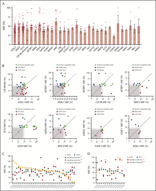 Figure 3. Clonal architecture of different pathway mutations. (A) Mean ± SEM of VAFs of common driver mutations in the cohort. (B) Dot plots depict VAFs of pairwise co-occurring mutations. Gene mutations with higher VAFs are considered to occur earlier then variants with lower VAFs. Dark gray square highlights 45% VAF. Dots appearing in the dark gray square are possibly acquired as subclones. Dot plot shows different mutation acquisition orders of SRSF2, ASXL1, and signaling molecules (C) and TET2, EZH2, and signaling molecules (D).