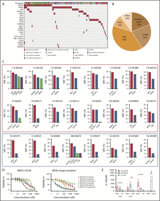 Figure 4. Diverse signaling molecule mutations are identified in CNL/aCML/unclassifiable/CMML. (A) The mosaic plot depicts the spectrum of different signaling molecule mutations in the cohort. (B) The pie chart depicts the frequencies of different signaling pathway mutations. (C) The graph depicts the VAFs of coexisting signaling pathway mutations showing co-occurrence pattern (red rectangle) and potential subclone pattern (blue rectangle). (D) Mean ± SEM of cell viability of Ba/F3 cells expressing CSF3R T618I with NRAS wild-type or mutant treated with gradient concentrations of indicated drugs for 72 hours (left). Mean ± SEM of cell viability of Ba/F3 cells expressing NRAS wild-type or mutant treated with a gradient concentration of indicated drugs for 72 hours (right). (E) Mean ± SEM of drug IC50 of Ba/F3 cells expressing single or compound mutation treated with indicated drugs. Statistical significance was assessed using 1-way ANOVA and Kruskal-Wallis tests (*P < .05; **P < .01).