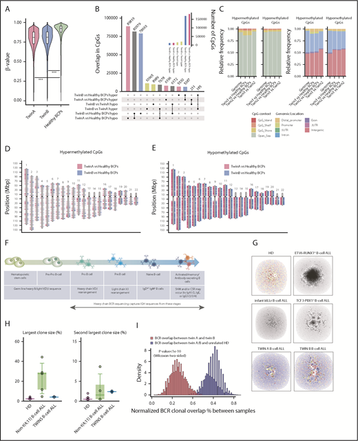 Figure 2. Genome-wide DNA methylation analysis and BCR repertoires in BCP-ALL monozygotic twins. (A) Violin plots depicting the global DNA methylation levels (β-value distributions) of CpG sites identified by WGB-seq. For healthy BCPs, the average DNA methylation value of 2 FL-derived pools of BCP is represented. (B) Total number of differentially hyper- (hyper) and hypomethylated (hypo) CpGs observed for the indicated comparisons between twins and healthy BCPs. The inner graph represents the total number of differentially methylated CpG (dmCpG) sites. (C) Stacked bar plots indicating the relative proportion of significant hyper- and hypomethylated CpGs between twins, or between each twin and healthy BCPs, regarding their CpG context (left) or the CpG genomic location (right), respectively, as indicated in the colored legend. (D-E) Ideograms representing the genomic location of differentially DNA hypermethylated (D) and hypomethylated (E) CpG sites obtained for twin A (pink) and twin B (blue) as compared with healthy BCPs. (F) Cartoon summarizing how BCR-seq captures IgH sequences across B-cell stages/development. (G) Network plots of BCR repertoires of a representative healthy donor (HD) and an infant mixed-lineage leukemia–rearranged (rMLL) pro-B ALL depicting the existence of many minor diagnostic nonexpanded B-cell clones (top middle left). Network plots of BCR repertoires of a representative t(12;21)/ETV6-RUNX1+ and t(1;19)/TCF3-PBX1+ pediatric BCP-ALL showing high clonality of B-cell clones (top middle right). Network plots of BCR repertoires of TCF3-ZNF384–rearranged pro-B ALL in both monozygotic twins (bottom). Each vertex represents a unique BCR sequence, and relative vertex size is proportional to the number of identical reads. For the HD and BCP-ALL twin samples, each vertex is represented by a pie chart indicating the percentage of each isotype, where blue = IgD/M, red = IgA1/2, yellow = IgG1/2, green = IgG3, and gray = IgE. (H) Boxplots of the largest and second largest BCR clone sizes for HD, non-t(4;11)+ BCP-ALL, and twins with concordant BCP-ALL. (I) Histogram representing the number of BCR clones shared between twin A and twin B (blue) or between unrelated HD and the twins (red).