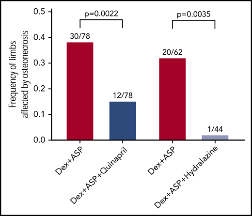 Antihypertensives decrease osteonecrosis resulting from chemotherapy. Mice treated with dexamethasone and asparaginase (Dex+ASP, red) for 6 weeks develop osteonecrosis. Mice who received quinapril in addition to dexamethasone and asparaginase (Dex+ASP+Quinapril, dark blue) developed less osteonecrosis (12/78 vs 30/78; P = .0022). In a second experiment, hydralazine given with dexamethasone and asparaginase (Dex+ASP+Hydralazine, light blue) also decreased osteonecrosis compared with chemotherapy alone (1/44 vs 20/62; P = .0035).