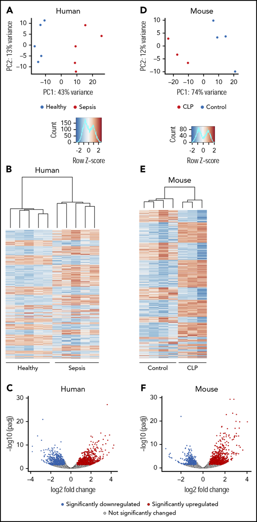 The human and murine platelet transcriptomes are altered in sepsis. (A-C) Platelets were isolated from septic patients within 48 hours of ICU admission or age-, race-, and gender-matched healthy donors. Total RNA was isolated, and next-generation RNA-seq was performed on platelets from septic patients and healthy donors, as described in “Methods” (n = 5/group). (A) PCA of the global platelet transcriptome in septic patients (red) and healthy donors (blue). (B) Heatmap and (C) volcano plot of significantly (FDR <0.05) upregulated (log2 fold-change >1.5, red) and downregulated (log2 fold-change <−1.5, blue) transcripts in platelets from septic patients. Black circles represent transcripts that were not significantly changed in sepsis. (D-F) Sepsis was induced in C57bl/J6 mice by CLP (n = 3, pooled platelets). For comparison, untreated C57bl/J6 mice were used as controls (n = 4). Platelets were isolated from CLP-treated mice on day 3 following surgery. Total RNA was isolated, and RNA-seq was performed on platelets from CLP and control mice, as described in “Methods.” (D) PCA of the global platelet transcriptome in CLP (red) and control mice (blue). (E-F) Heatmap and volcano plot of significantly (FDR <0.05) upregulated (log2 fold-change >1.5, red) and downregulated (log2 fold-change <−1.5, blue) transcripts in platelets from septic mice. Black circles represent transcripts that were not significantly changed in sepsis. padj, adjusted P value; PC, principal component.