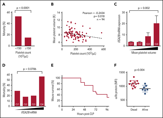 Increased ITGA2B and αIIb expression in sepsis is associated with both clinical and experimentally induced sepsis-related mortality. (A) In septic patients (n = 94), sepsis-related mortality is more than threefold higher in patients with thrombocytopenia at ICU admission (day 1). (B) Platelet counts in septic patients are inversely associated with MPV. (C) ITGA2B expression is significantly higher in newly released platelets (ie, platelets with a larger MPV) from septic patients. Quartiles for MPV were determined a priori and assigned as follows: quartile 1 (Q1), MPV <7.5 fL; Q2, MPV between 7.6 and 8.1 fL; Q3, MPV between 8.2 and 8.7 fL; Q4, MPV >8.7 fL. (D) ITGA2B expression is higher in septic patients who did not survive. Quartiles of ITGA2B mRNA expression were determined a priori and assigned as follows: Q1, <2.56 fold-change; Q2 between 2.56 and 4.09 fold-change; Q3, between 4.09 and 6.95 fold-change; Q4, >6.95 fold-change. Analyses in panels C-D were performed by analysis of variance. (E) Kaplan-Meier curve of mortality in mice following CLP (n = 20 mice). (F) Whole blood (2 μL) sampled from the tail vein 24 hours following CLP. Platelet αIIb surface protein was assessed 24 hours following CLP by flow cytometry, stratified for mice that subsequently did not survive (dead) or survived (alive) CLP. MFI, mean fluorescence intensity.