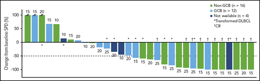 Maximum percentage reduction in tumor size. Data are presented for patients in the all-treated population who had a baseline and at least 1 postbaseline tumor assessment. The number next to each bar indicates the dose cohort (ie, lenalidomide dose) for that patient. // indicates values greater than 100% (112%, 153%, and 414%). SPD, sum of the product of the diameters.